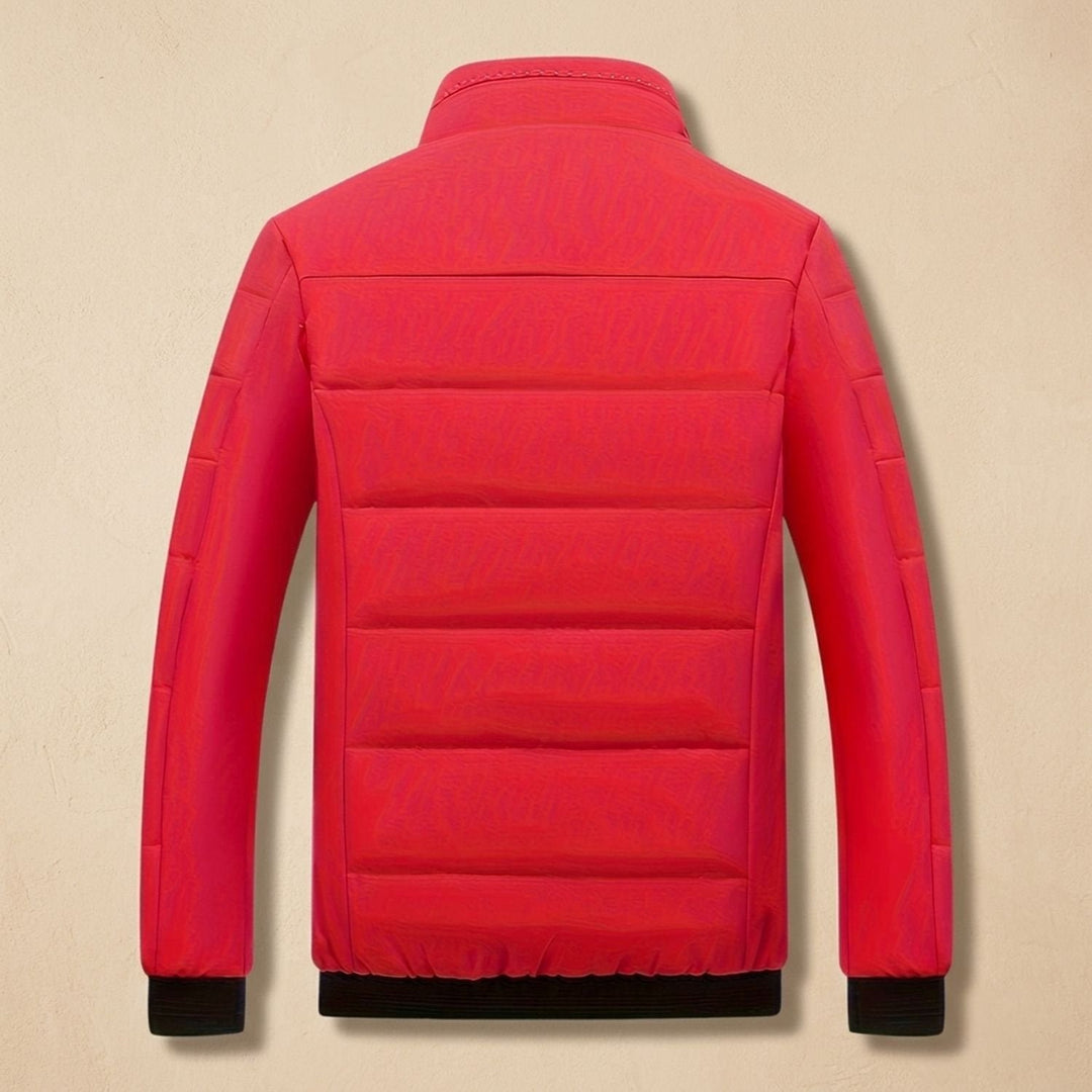 Dominik | Steppjacke für Herren – Gefütterte Winterjacke mit Stehkragen
