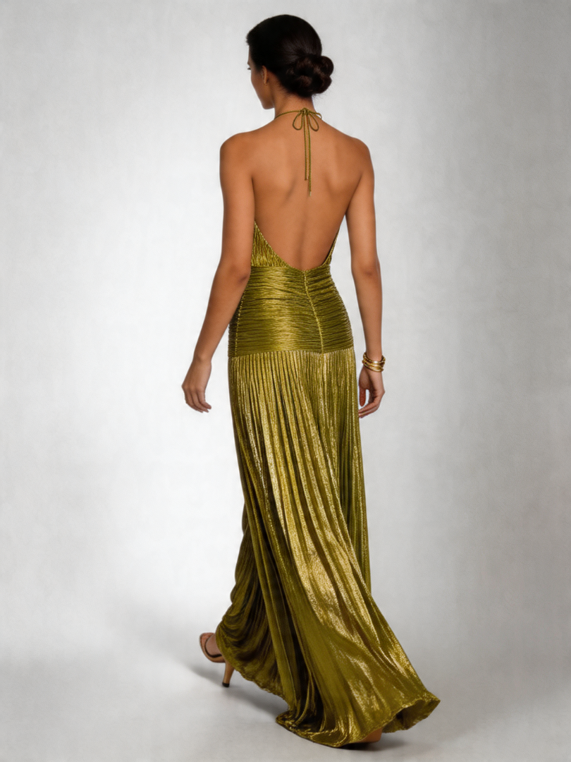 Tatiani | Maxikleid mit hochgezogenem Hals und Plisseefalten